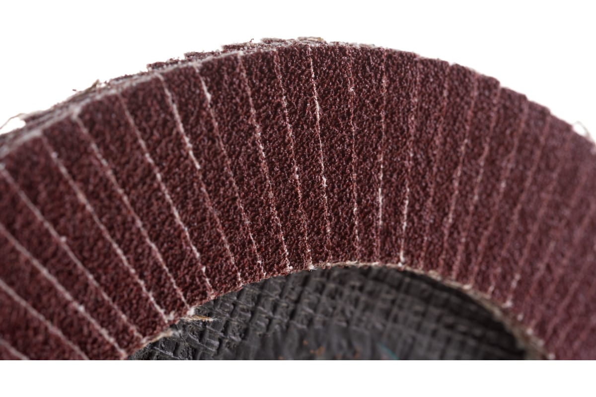 Круг лепестковый торцевой 150х22 мм Р60 КЛТ-1 Луга 2